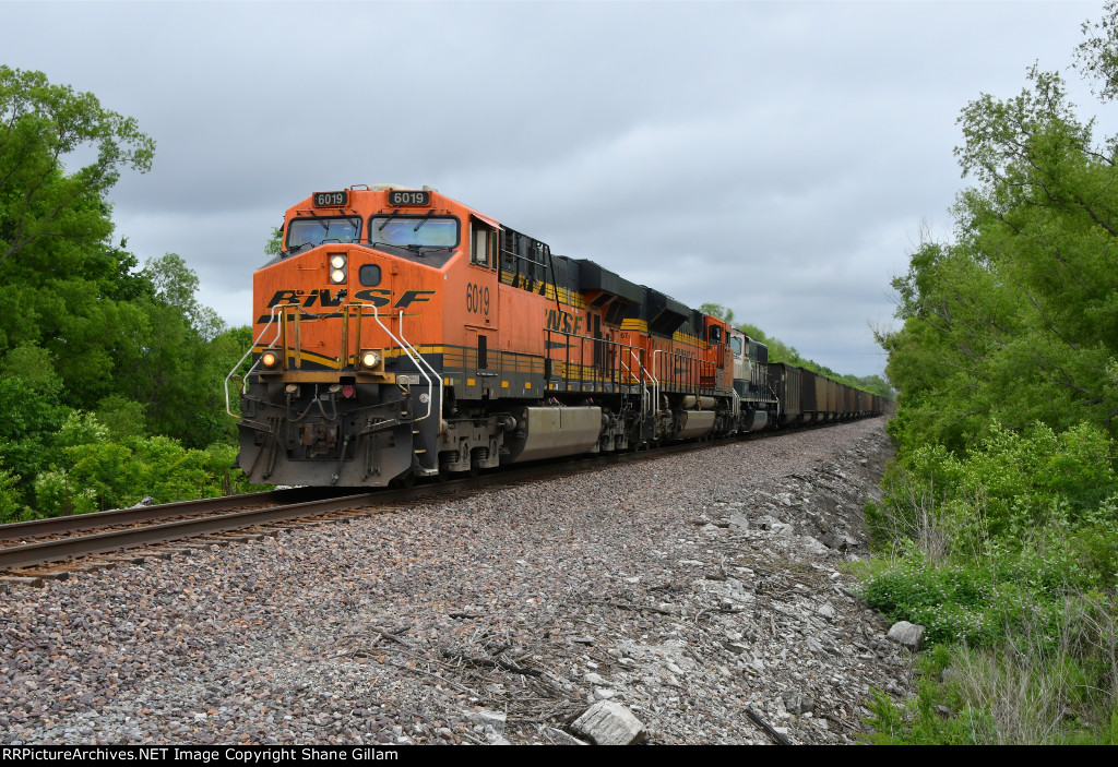 BNSF 6019